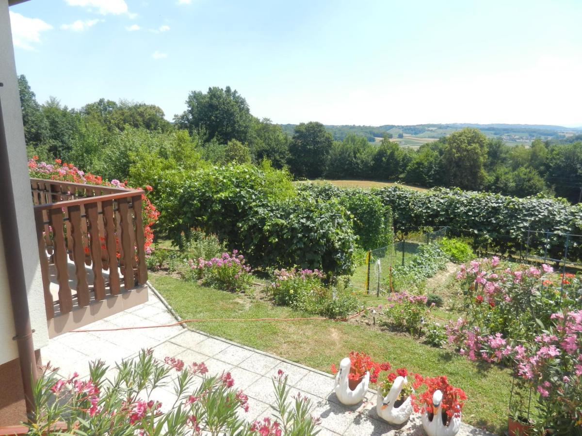 Urlaub Fuer Die Seele - Erholung Pur In Der Natur - Ferienhaus Mit Infrarotkabine & Relax-Raum Rucmanci Bagian luar foto