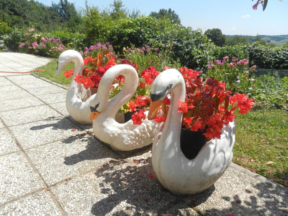 Urlaub Fuer Die Seele - Erholung Pur In Der Natur - Ferienhaus Mit Infrarotkabine & Relax-Raum Rucmanci Bagian luar foto