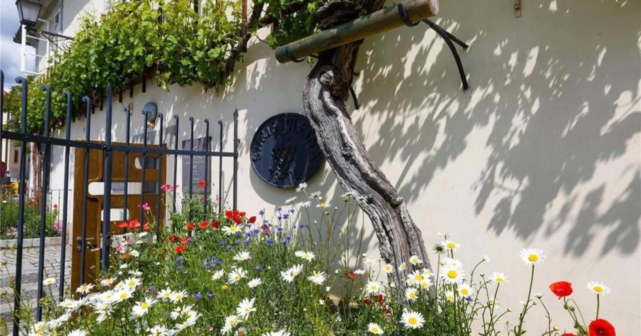 Urlaub Fuer Die Seele - Erholung Pur In Der Natur - Ferienhaus Mit Infrarotkabine & Relax-Raum Rucmanci Bagian luar foto
