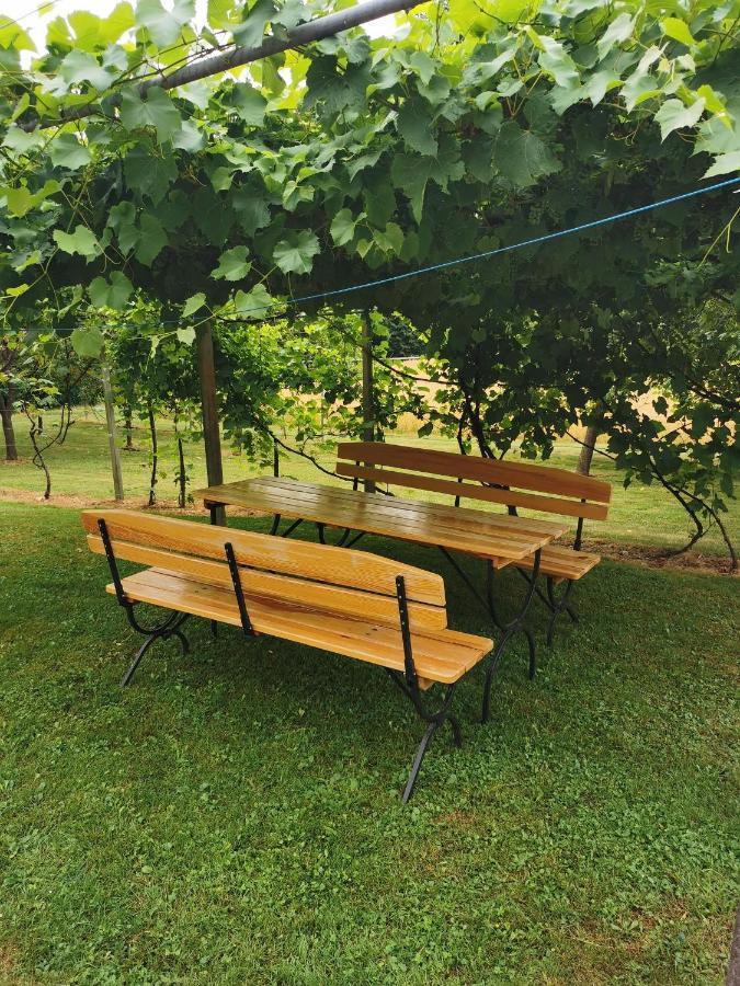 Urlaub Fuer Die Seele - Erholung Pur In Der Natur - Ferienhaus Mit Infrarotkabine & Relax-Raum Rucmanci Bagian luar foto